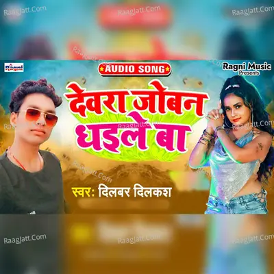Dilbar Dilkash Image