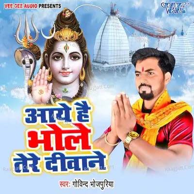 Aaye Hai Bhole Tere Diwane Poster