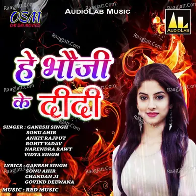 Hey Bhouji Ke Didi Poster