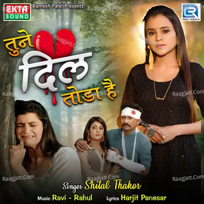 Tune Dil Toda Hain Cover