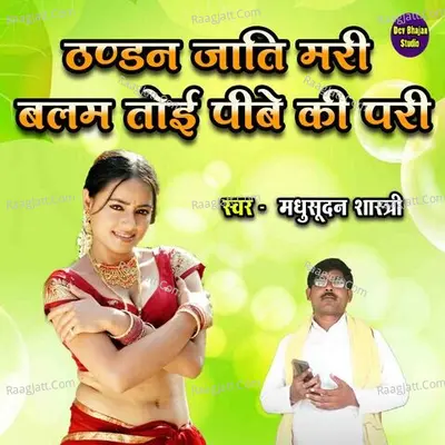 Thandan Jaati Mari Balam Toyi Pibe Ki Pari Cover