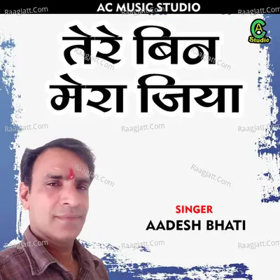 Tere bin mera jiya