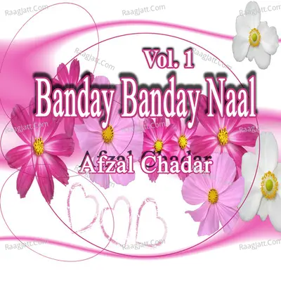 Banday Banday Naal, Vol. 1 - Afzal Chadar