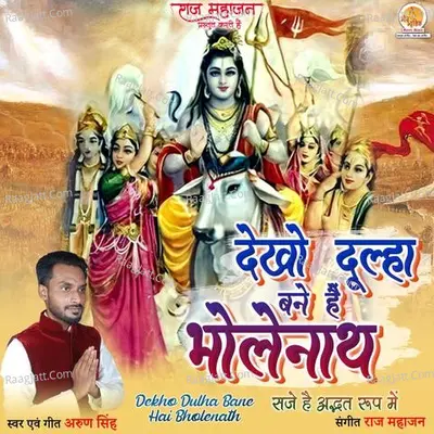 Dekho Dulha Bane Hai Bholenath Cover