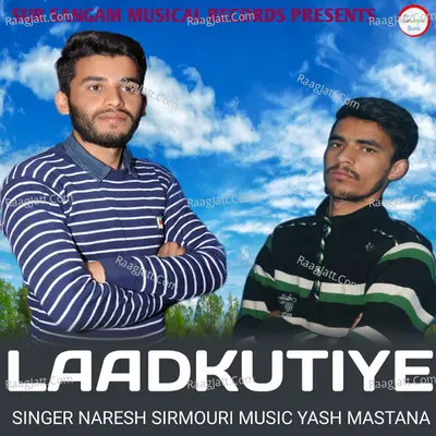 Naresh Sirmouri Image