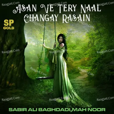 Asan Ve Tery Naal Changay Rasain Poster