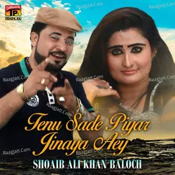 Tenu Sade Piyar Jinaya Aey - Single