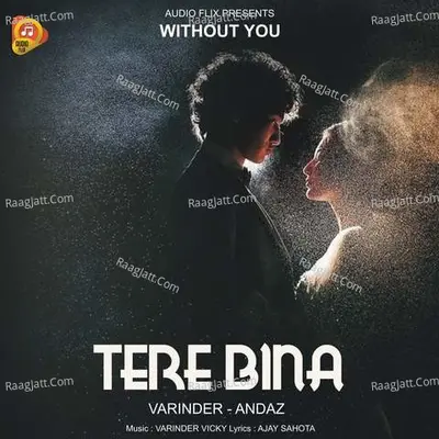 Tere Bina Cover