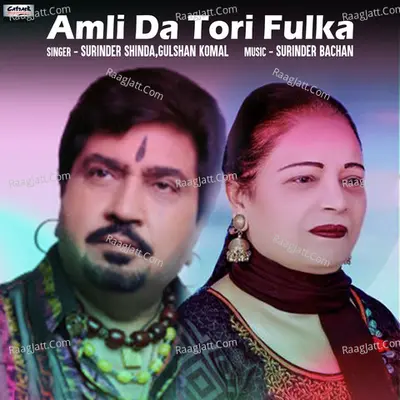 Amli da Tori Fulka - Single Cover