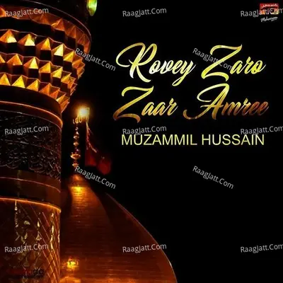 Muzammil Hussain Image
