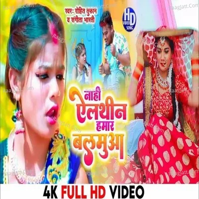 nahi elthin hamar balamua Cover