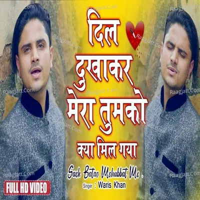 Dil DukhaKar Mera Tumako Kya Mil Gaya Cover