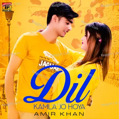 Dil Kamla Jo Hoya - Single Cover