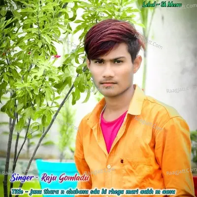 janu thara n chabasu sda hi rhega mari aakh m aasu Cover