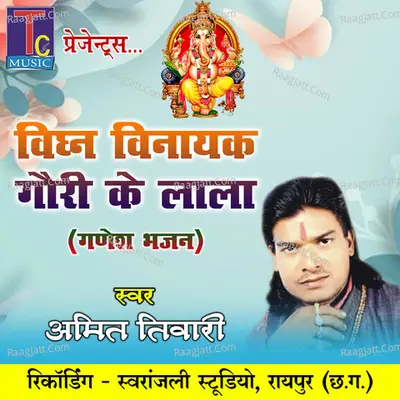 Vighn Vinayak Gauri Ke Lala (Ganesh Bhajan) Cover