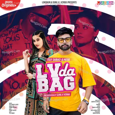 LV Da Bag Cover