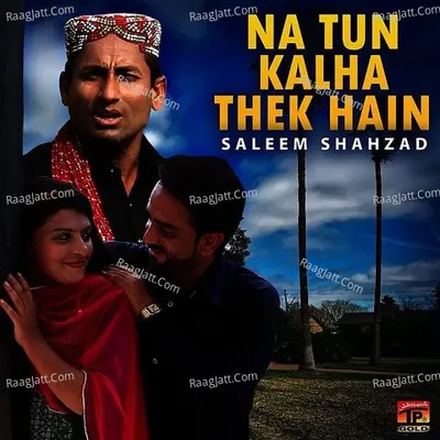 Saleem Shahzad Image