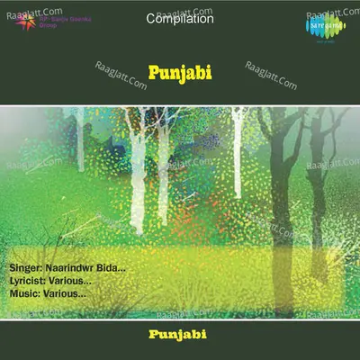 Punjabi - Naarindwr Bida