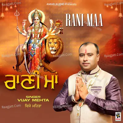 Vijay Mehta Image