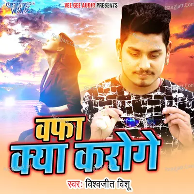 Wafa Kya Karoge Cover