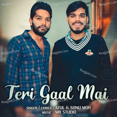 Teri Gaal Mai Cover