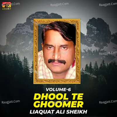 Dhool Te Ghoomer, Vol. 6 - Liaquat Ali Sheikh