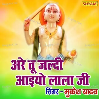 Aare Tu Jaldi Aayiyo Lala Ji Leele Ghode Ke Aswari Cover