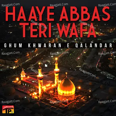 Haaye Abbas Teri Wafa Poster