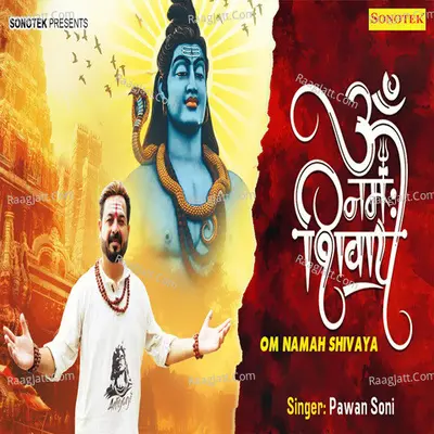 Om Namah Shivaya Cover