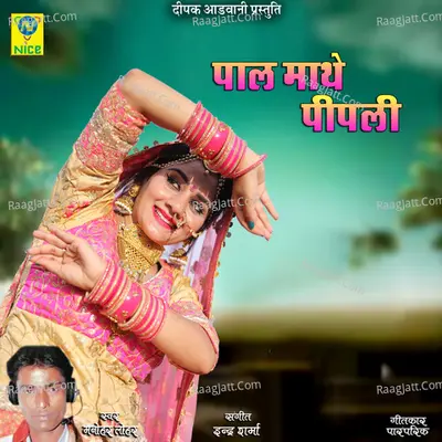 Pal Mathe Pipli Cover
