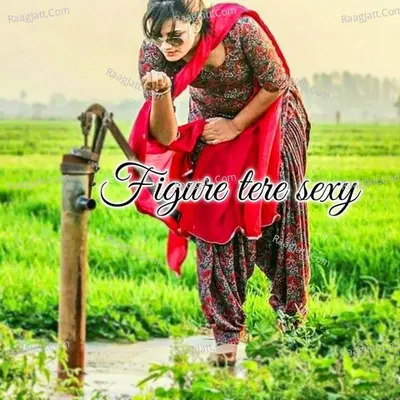 Figure tere sexy Cover