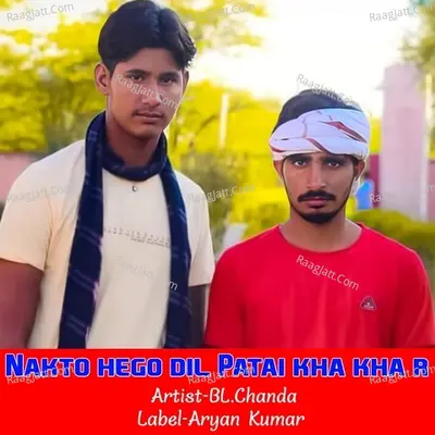 Nakto hego dil Patai kha kha r Cover