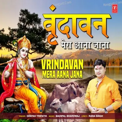 Vrindavan Mera Aana Jana Cover