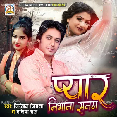 Pyar Nibhana Sanam Cover