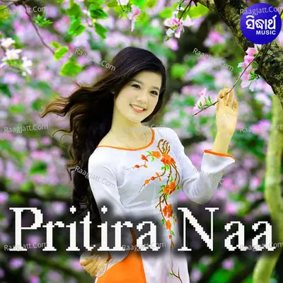 Pritira Naa Poster