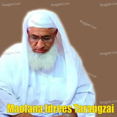Qase Inbeya, Vol. 2 - Maolana Idrees Tarangzai