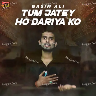 Tum Jatey Ho Dariya Ko - Single