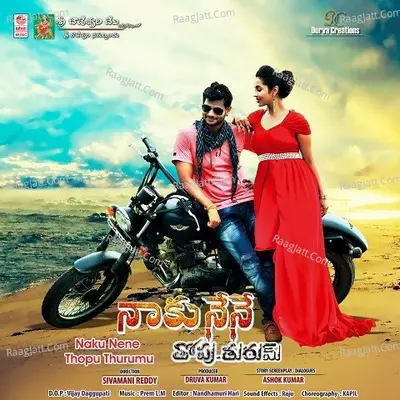 Naku Nene Thopu Thurumu Poster