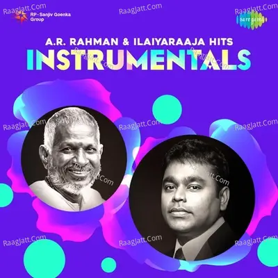 A. R. Rahman And Ilaiyaraaja Hits - Instrumentals - Various Artists