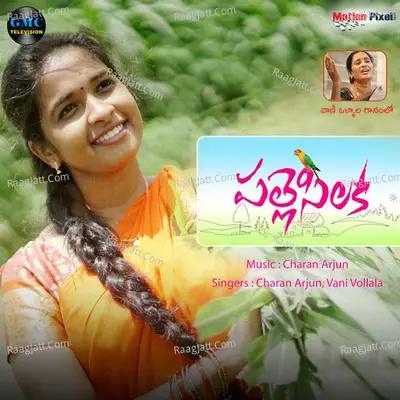 Palle Silaka - Single