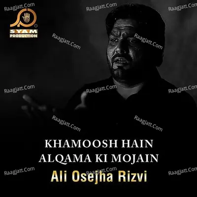Khamoosh Hain Alqama Ki Mojain - Ali Osejha Rizvi