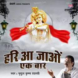 Hari Aa Jao Ek Baar