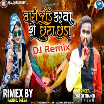 Tari Jode Karva She Chhuta Chheda DJ Remix Cover