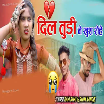 Dil Tudi Ne Khush Rohe Cover