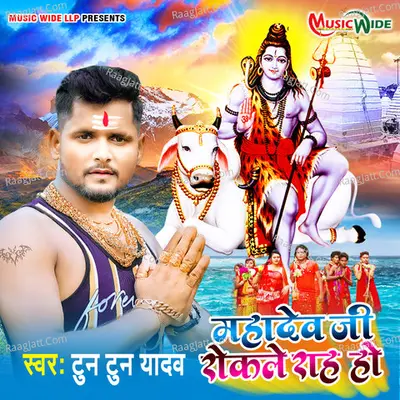 Mahadev Ji Rokle Raah Ho Cover