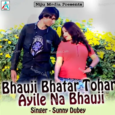 Bhauji Bhatar Tohar Ayile Na Bhauji Poster