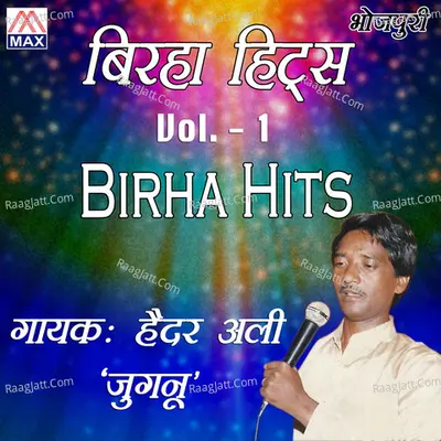 Birha Hits, Vol. 1 Poster