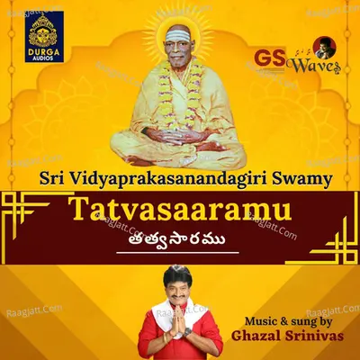 Tatvasaaramu (Sri Vidyaprakasanandagiri Swamy) Cover