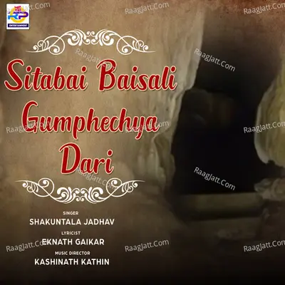 Sitabai Baisali Gumphechya Dari Cover
