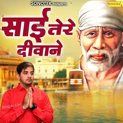 Sai Tere Deewane Cover